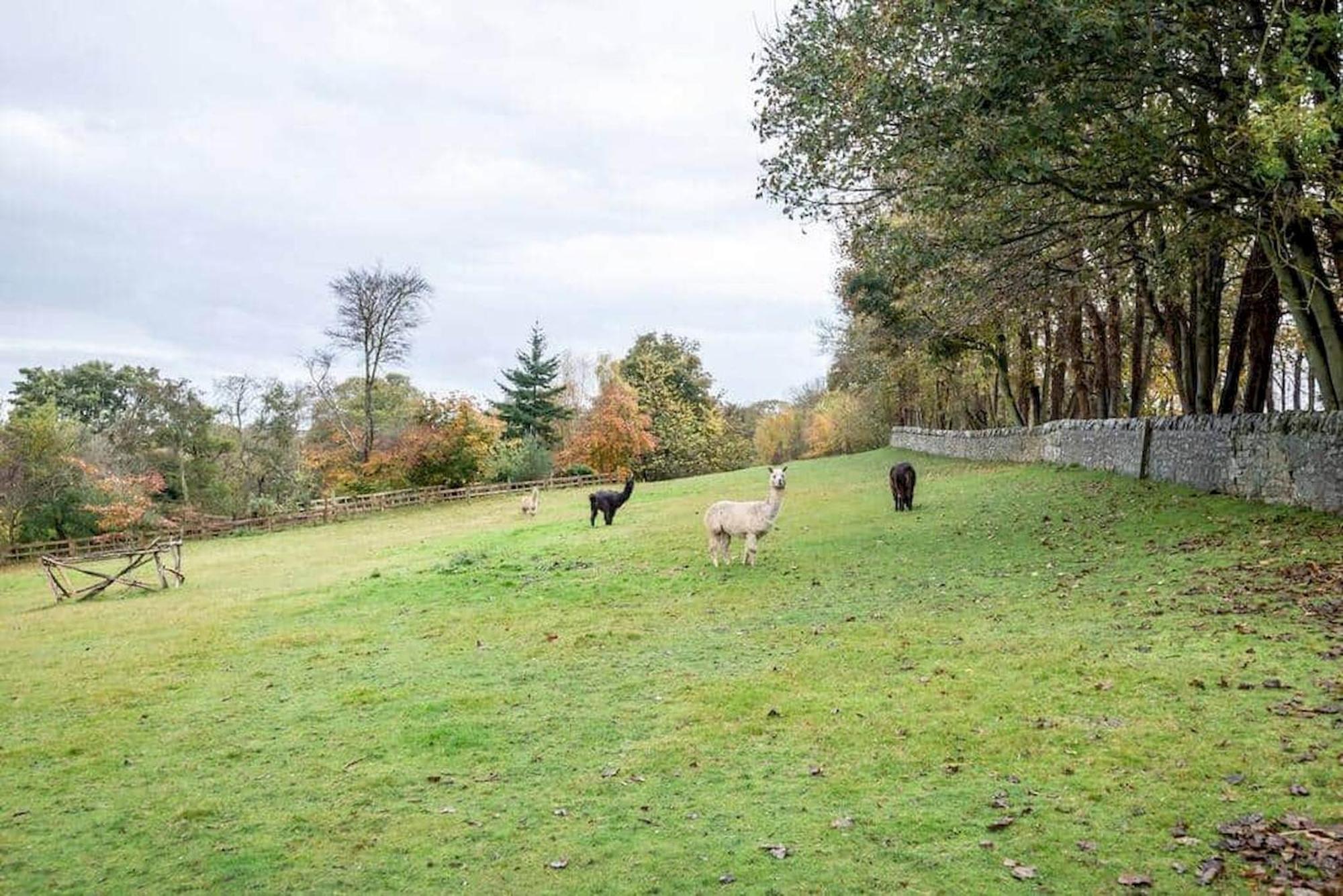 Holiday home Park View - The Granary